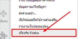 Firefox Update 3