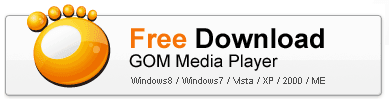 Download GOM Player Free